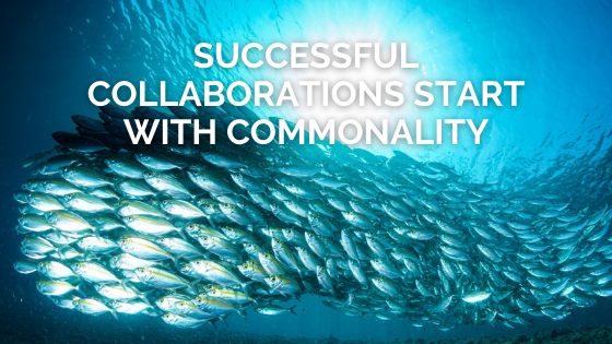 Successful Collaborations start with Commonality