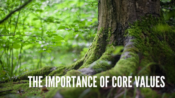 the importance of core values