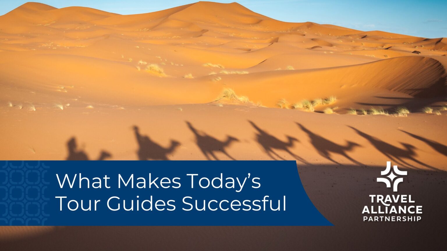 What Makes Today’s Tour Guides Successful?
