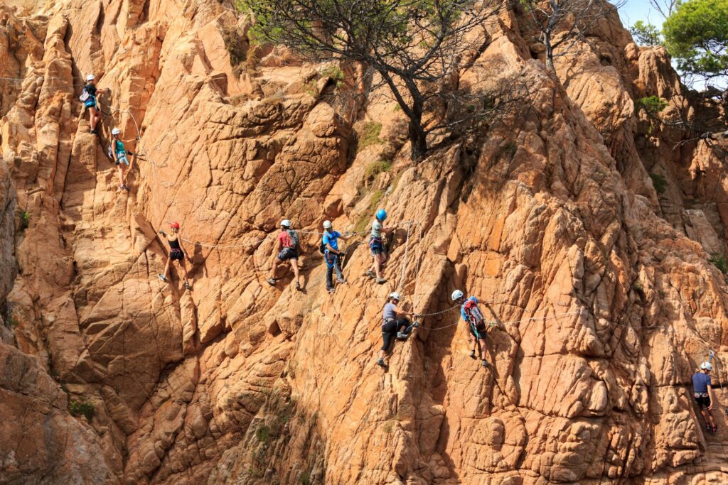 Climbers connected by safety lines move across a rock face, symbolizing shared effort.
