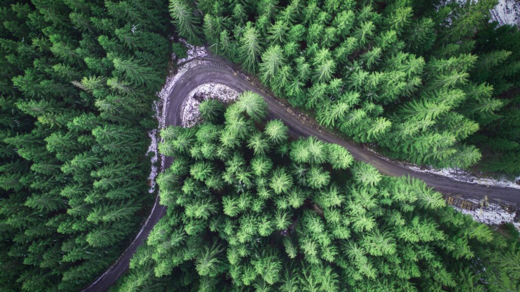 Annual Planning for Tourism