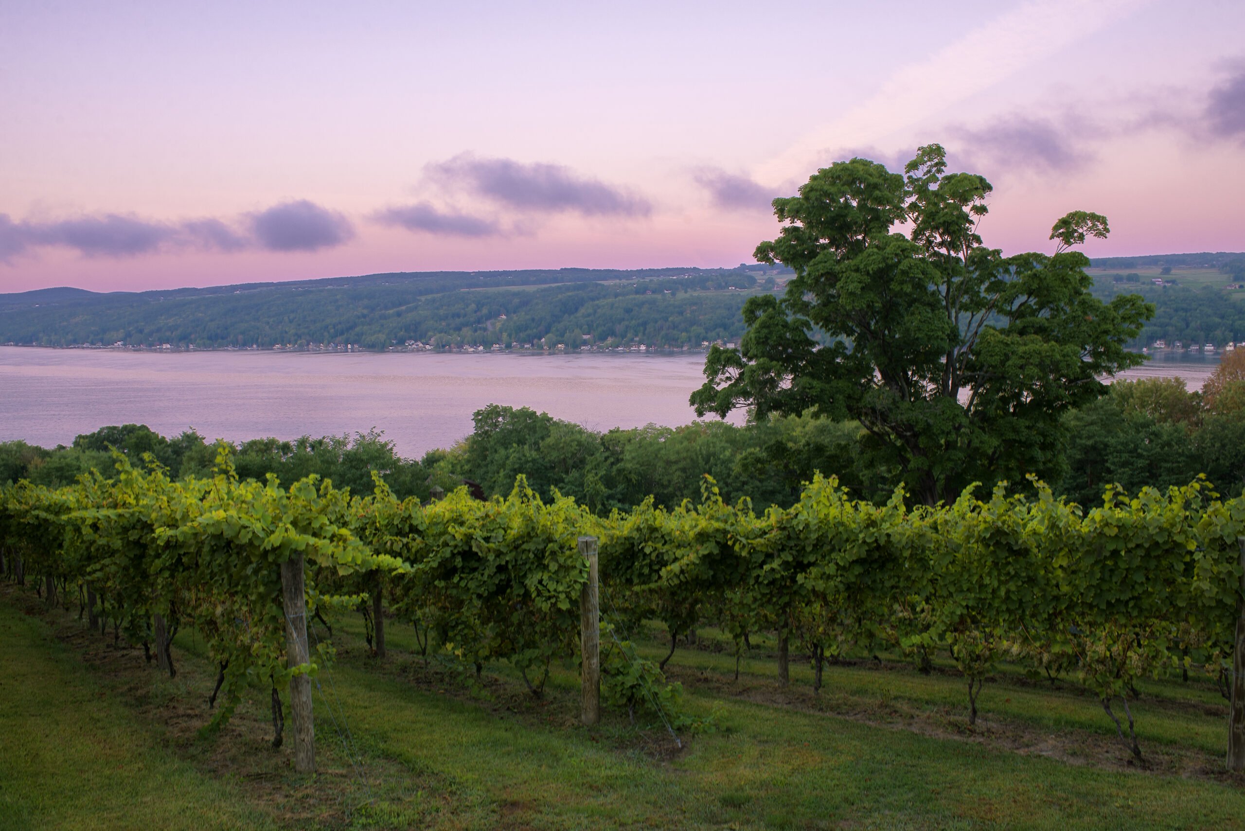 Photo Credit: Keuka Lake Wine Trail