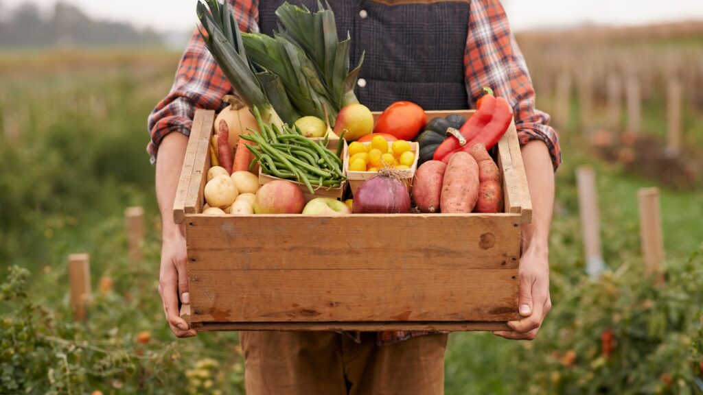 How Agritourism Creates Meaningful Connections Through Food, Farm, and Place