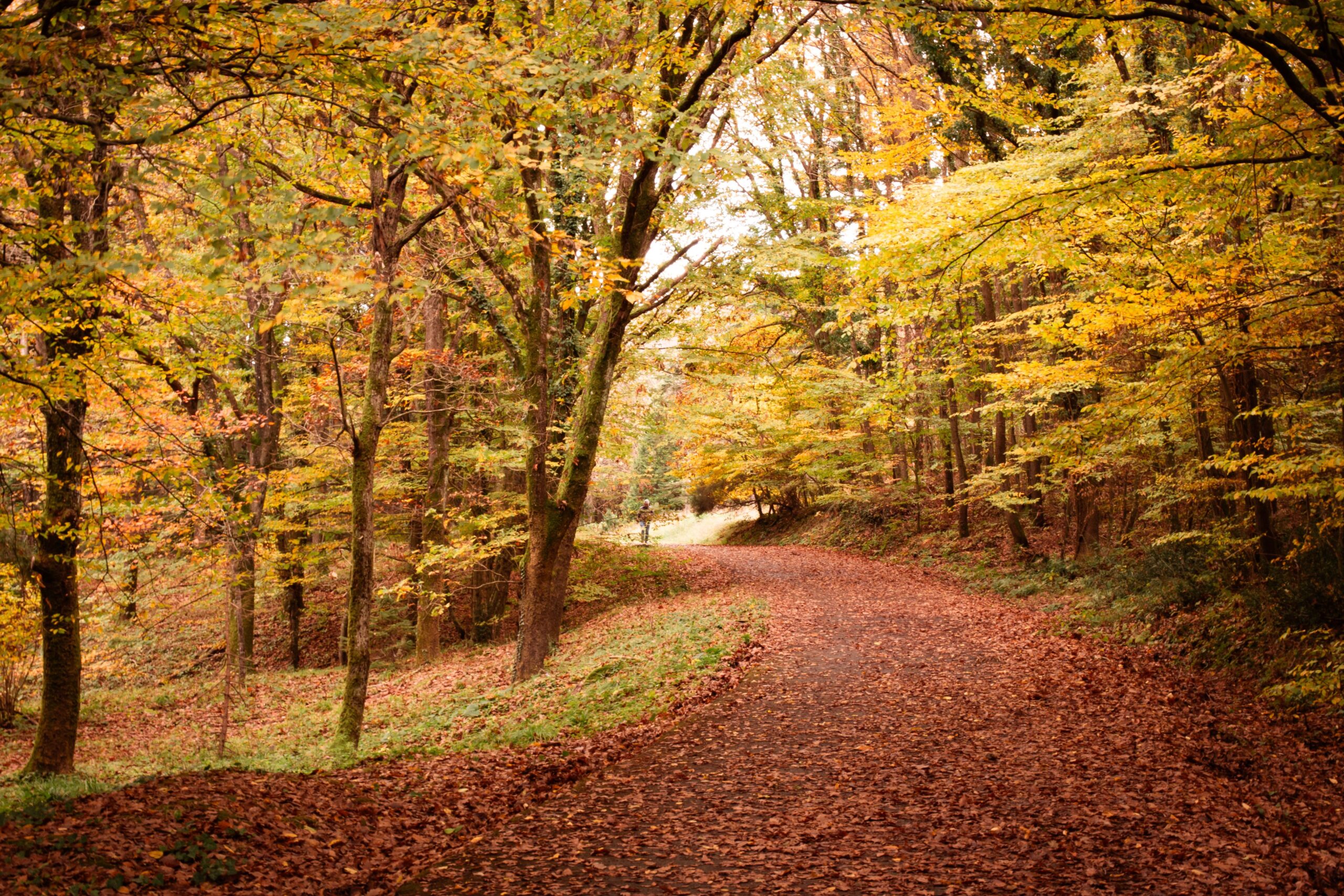 Seasonal Wellness