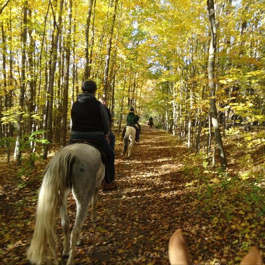 Photo Credit: Watkins Glen Area Chamber of Commerce